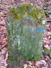 Grenzstein 171 maikammer diedesfeld 50 ansicht.jpg