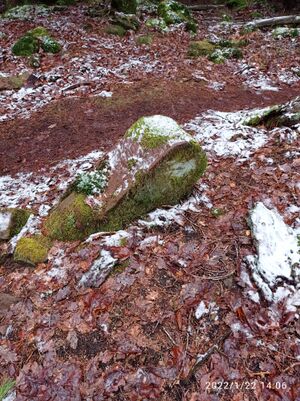 Grenzstein 56 maikammer ansicht maikammer.jpg
