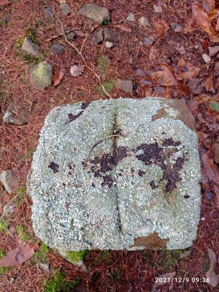 Datei:Grenzstein 12 maikammer oben Weisung.jpg