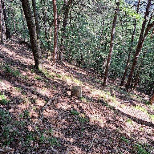 Datei:Grenzstein 1830 3 20230811 umfeld.jpg