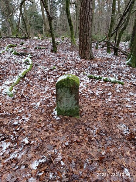 Datei:Grenzstein 50 maikammer umfeld3.jpg