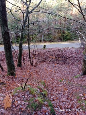 Grenzstein 38 maikammer 149 martin umfeld.jpg