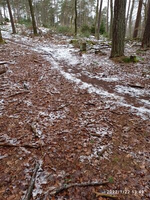 Grenzstein 51 maikammer umfeld.jpg