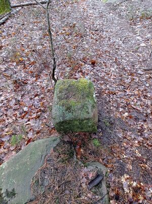 Grenzstein 61 maikammer oben weisung.jpg