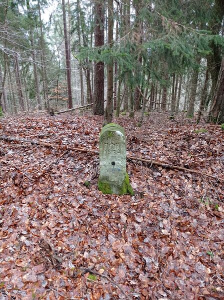 Datei:Grenzstein 173 maikammer ansicht umfeld.jpg