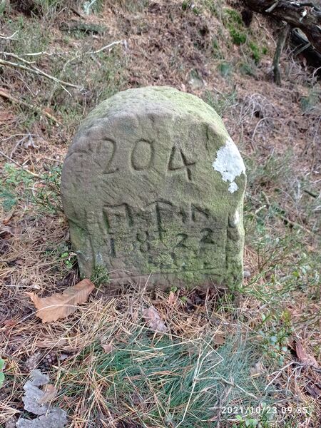 Datei:Grenzstein 204 kanzel.jpg