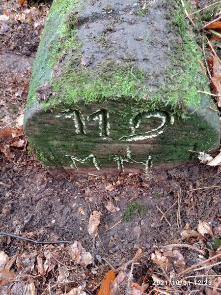Datei:Grenzstein 119 Flachkopftal.jpg