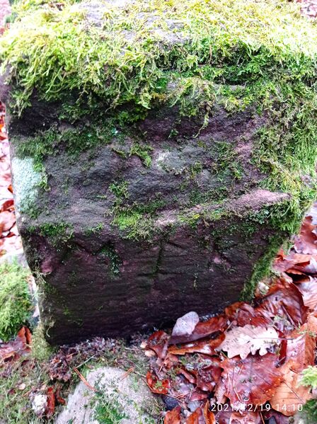 Datei:Grenzstein 30 maikammer MK.jpg