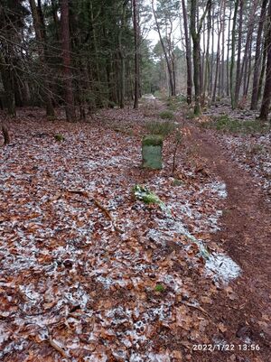 Grenzstein 53 maikammer umfeld.jpg