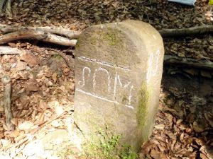 Grenzstein maikammer alsterweiler 83 sankt martin 105 3.jpg