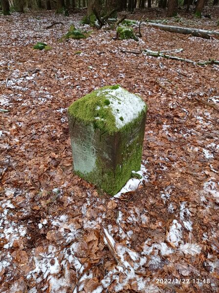 Datei:Grenzstein 50 maikammer umfeld.jpg