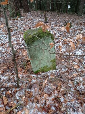 Grenzstein 53 maikammer ansicht.jpg