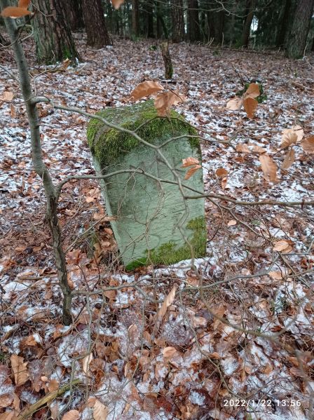 Datei:Grenzstein 53 maikammer ansicht.jpg