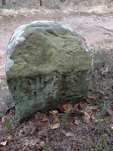 Datei:Grenzstein 180 Maikammer Ansicht.jpg
