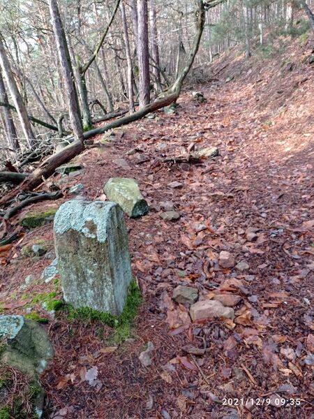 Datei:Grenzstein 12 maikammer umfeld.jpg