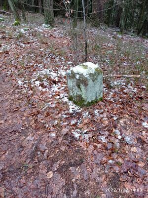 Grenzstein 55 maikammer umfeld.jpg