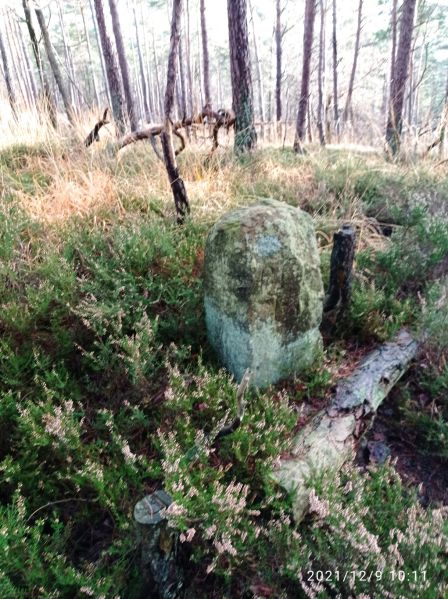 Datei:Grenzstein 15 maikammer seite.jpg