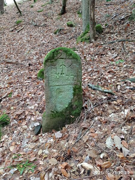 Datei:Grenzstein 121 Flachkopf.jpg