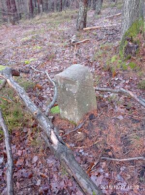 Grenzstein 37 maikammer 150 martin Umfeld unten.jpg