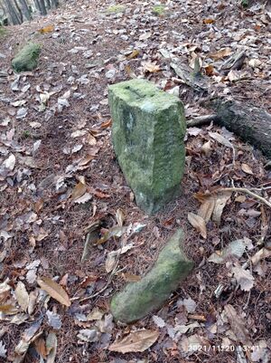 Loogstein 1 Breitenberg.jpg