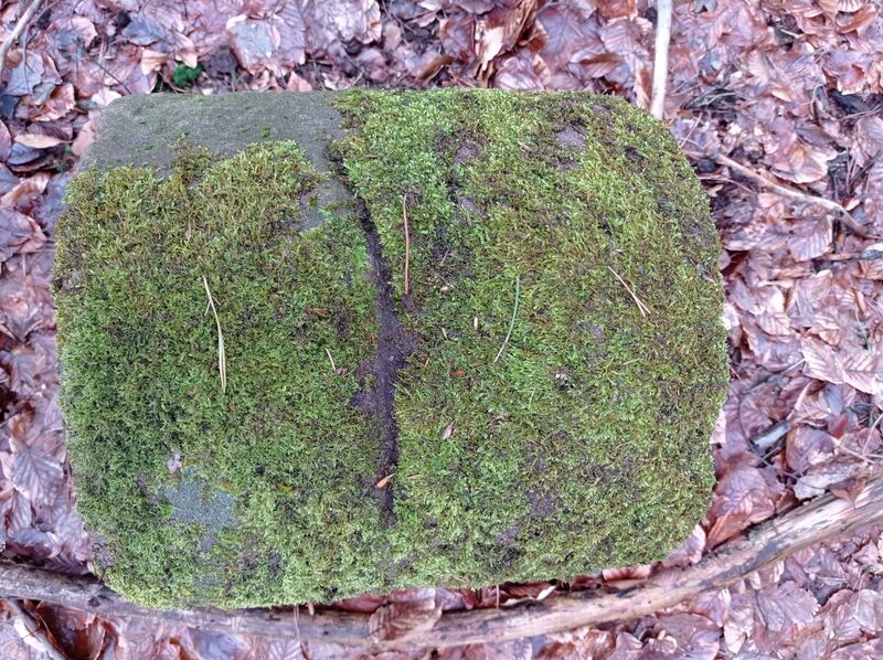 Datei:Grenzstein 172 maikammer weisung.jpg