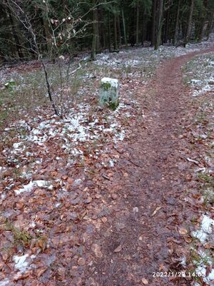 Grenzstein 55 maikammer umfeld1.jpg