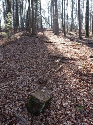 Grenzstein maikammer alsterweiler 133 kirrweiler 21 3.jpg