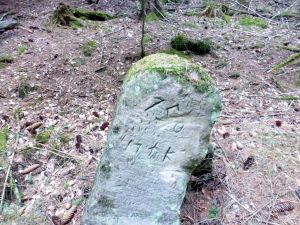 Grenzstein maikammer alsterweiler 158 diedesfeld 63-1.jpg