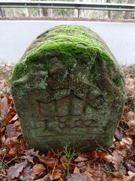 Datei:Grenzstein 170 maikammer ansicht.jpg