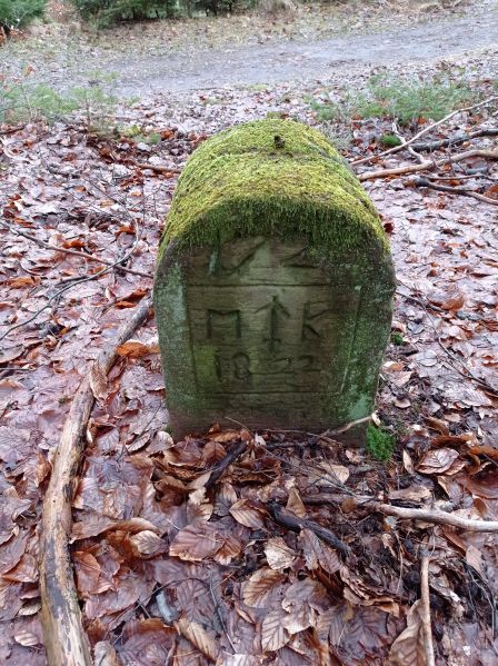 Datei:Grenzstein 172 maikammer ansicht umfeld.jpg