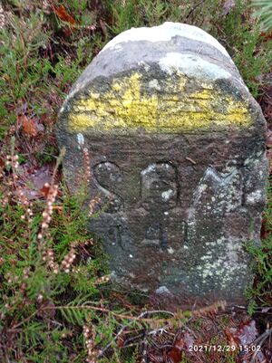 Grenzstein 46 maikammer martin 141 ansicht.jpg