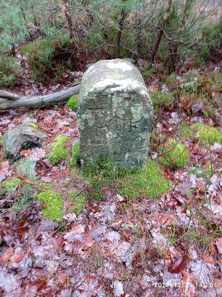 Datei:Grenzstein 44 maikammer martin 143.jpg