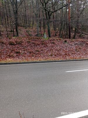 Grenzstein 38 maikammer 149 martin landesstrasse.jpg