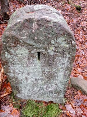 Grenzstein 47 maikammer martin 140 ansicht martin.jpg