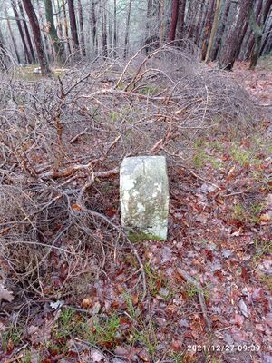 Grenzstein 34 maikammer 153 martin grenzverlauf zu 35.jpg