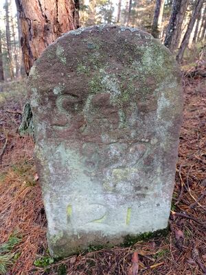 Grenzstein 66 maikammer sankt martin 121 ansicht.jpg