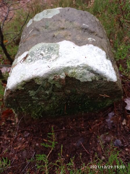 Datei:Grenzstein 46 maikammer martin 141.jpg