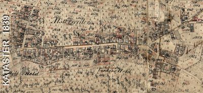 Kataster Alsterweiler 1839.jpg