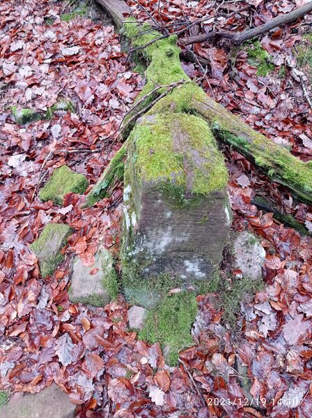 Datei:Grenzstein 30 maikammer oben.jpg