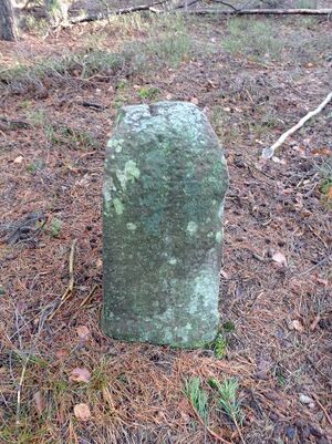 Grenzstein 66 maikammer umfeld blick.jpg