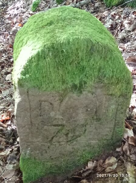 Datei:Grenzstein 142 Kanzelkopf Ostflanke Rückseite.jpg