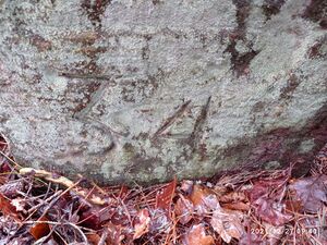 Grenzstein 34 maikammer 153 martin nummer.jpg