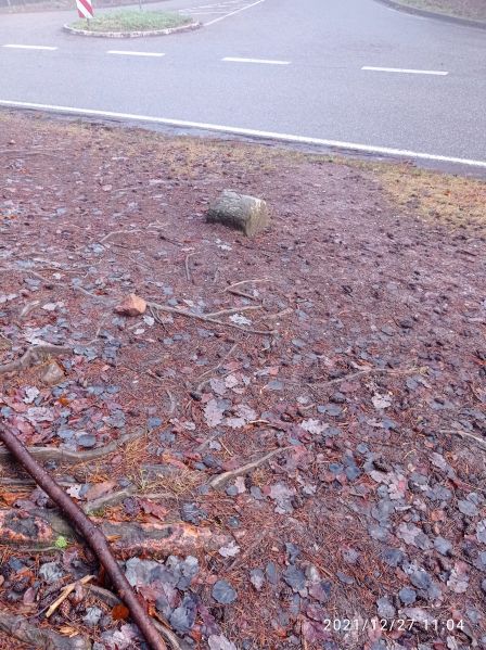 Datei:Grenzstein 175 maikammer dreimärker umfeld.jpg