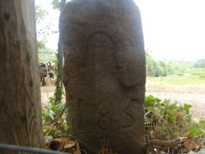 Grenzstein maikammer alsterweiler 2 sankt martin 185 2.JPG