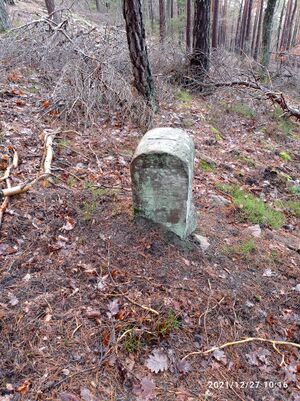 Grenzstein 36 maikammer 151 sankt martin.jpg