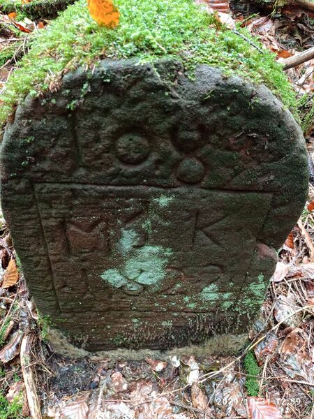 Datei:Grenzstein 108 Flachkopftal Hollerbach.jpg