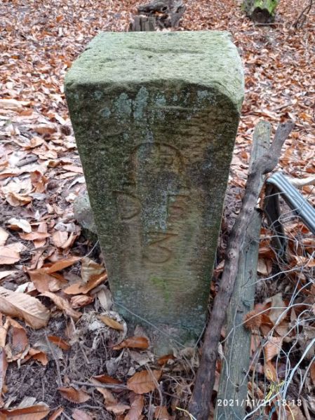 Datei:Grenzstein 218 Diedesfeld 3.jpg