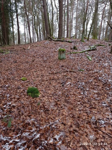 Datei:Grenzstein 50 maikammer umfeld2.jpg