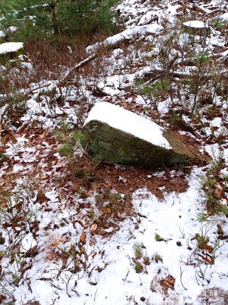 Datei:Grenzstein 54 maikammer umfeld.jpg