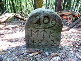 Grenzstein maikammer alsterweiler 209 diedesfeld 12 1.jpg